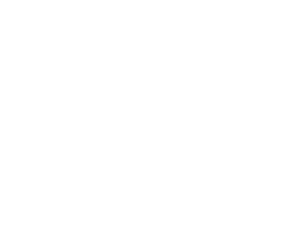 Gandini fasteners