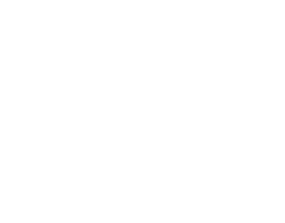 Gandini industria